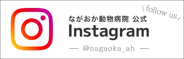 ながおか動物病院公式インスタグラム